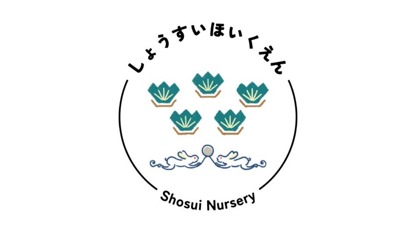 保育体験～こどもを知ろう・こどもと遊ぼう・保育士になってみよう～のプログラムimage3