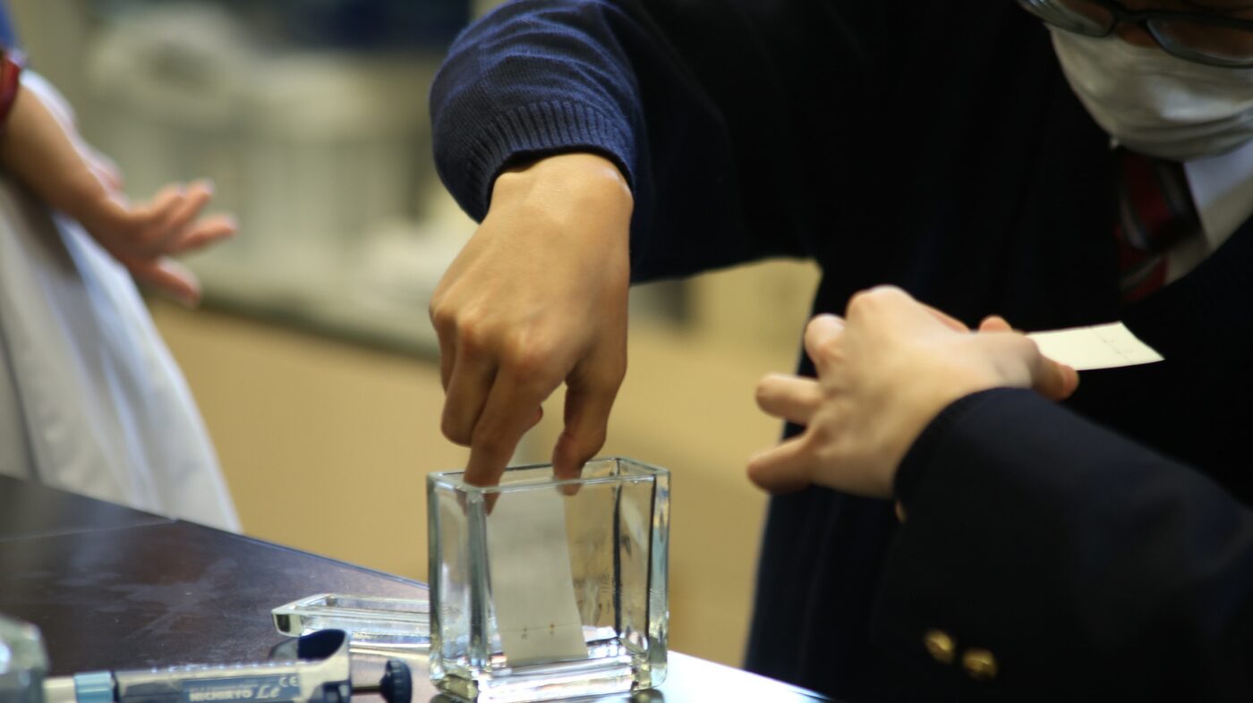 くすりの成分を取り出してみよう！のプログラムimage2